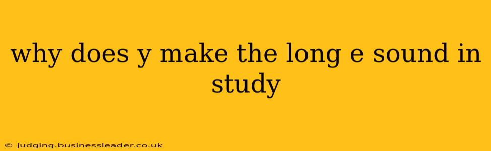 why does y make the long e sound in study