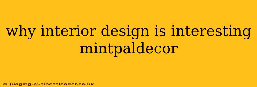 why interior design is interesting mintpaldecor