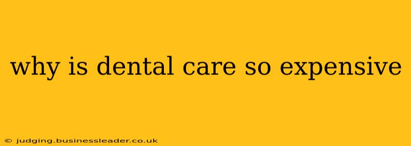 why is dental care so expensive