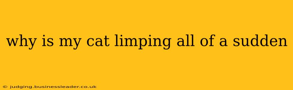 why is my cat limping all of a sudden