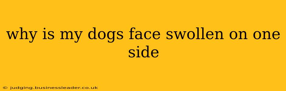 why is my dogs face swollen on one side
