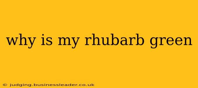 why is my rhubarb green