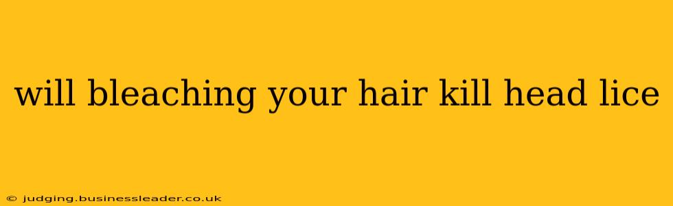 will bleaching your hair kill head lice