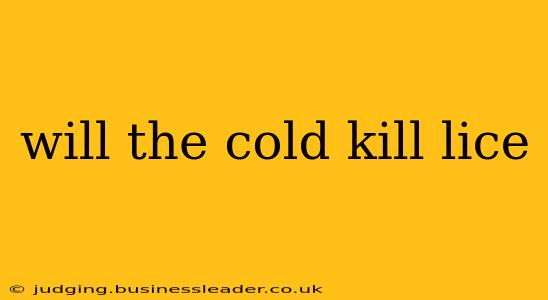 will the cold kill lice
