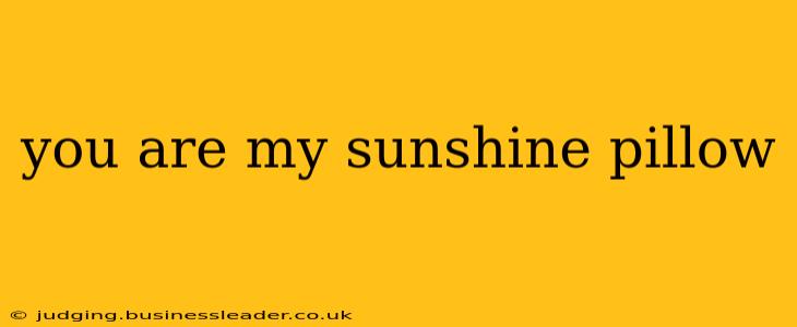 you are my sunshine pillow