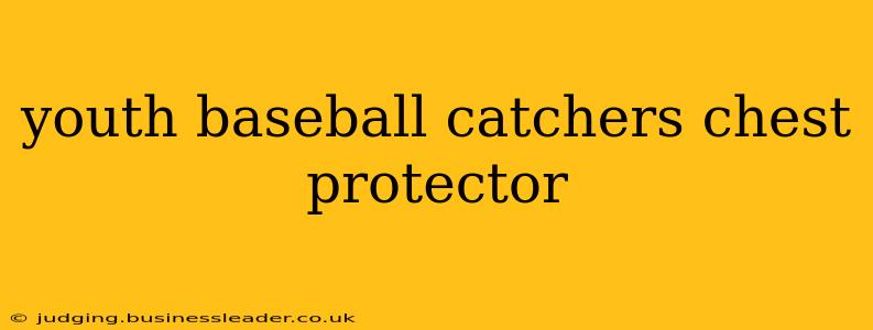 youth baseball catchers chest protector